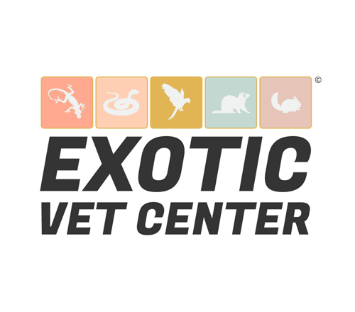 exotic vet